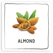 almond