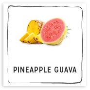 pineappleguava