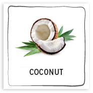 coconut