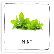 mint
